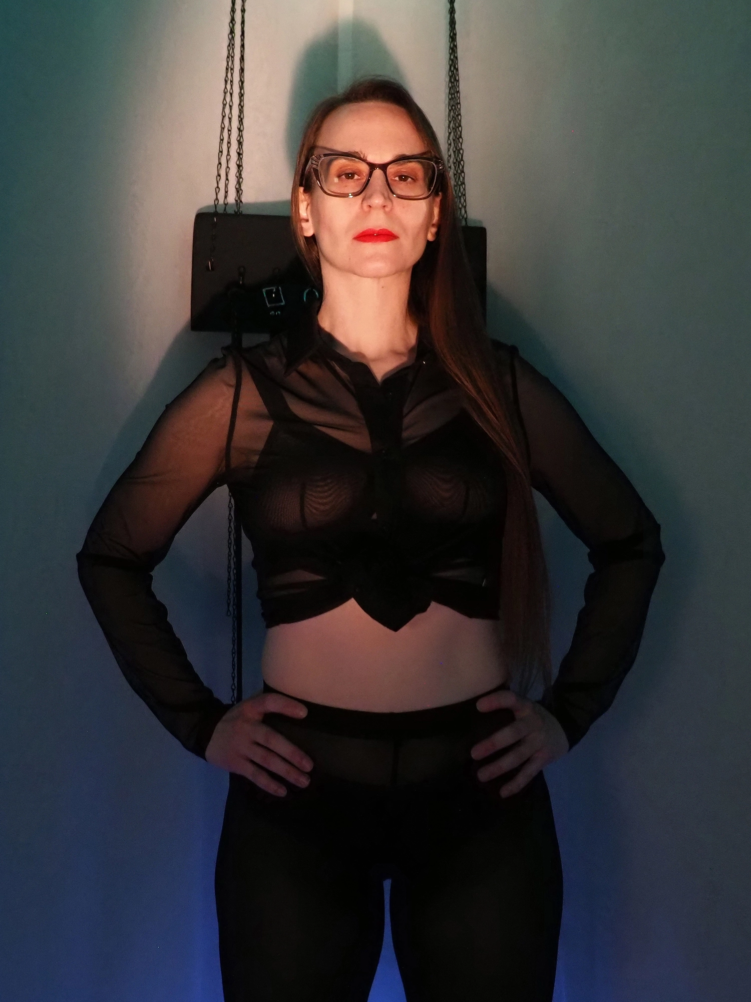 Lady Ashley bans porn